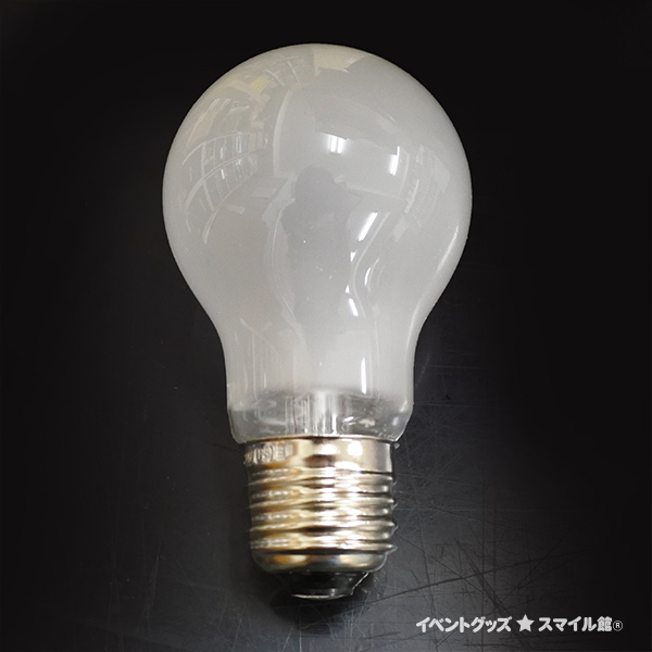 耐振電球